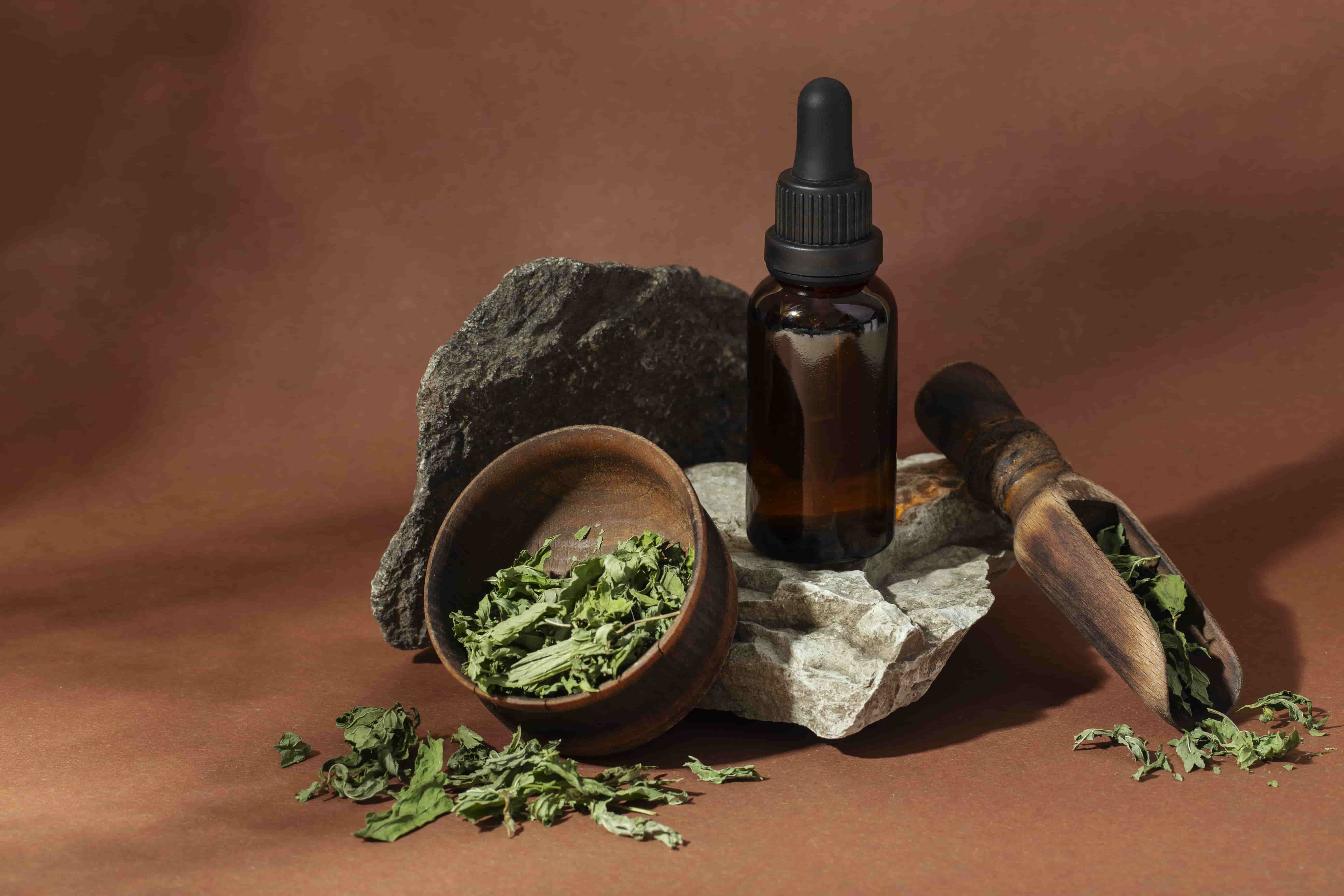 Natural & Herbal Cosmetics Manufacturers
