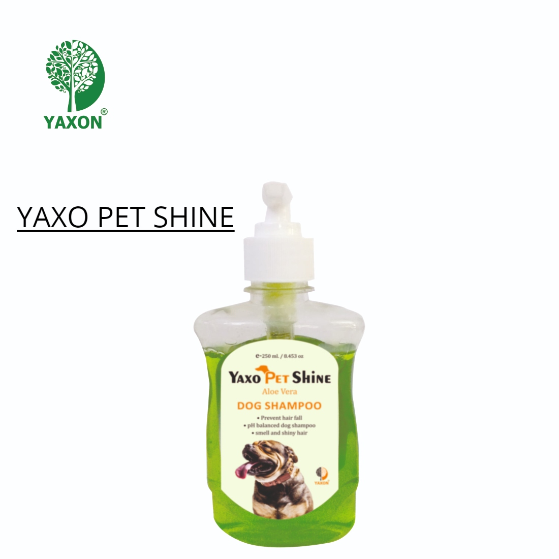 DR VET YAXO PET SHINE Shampoo