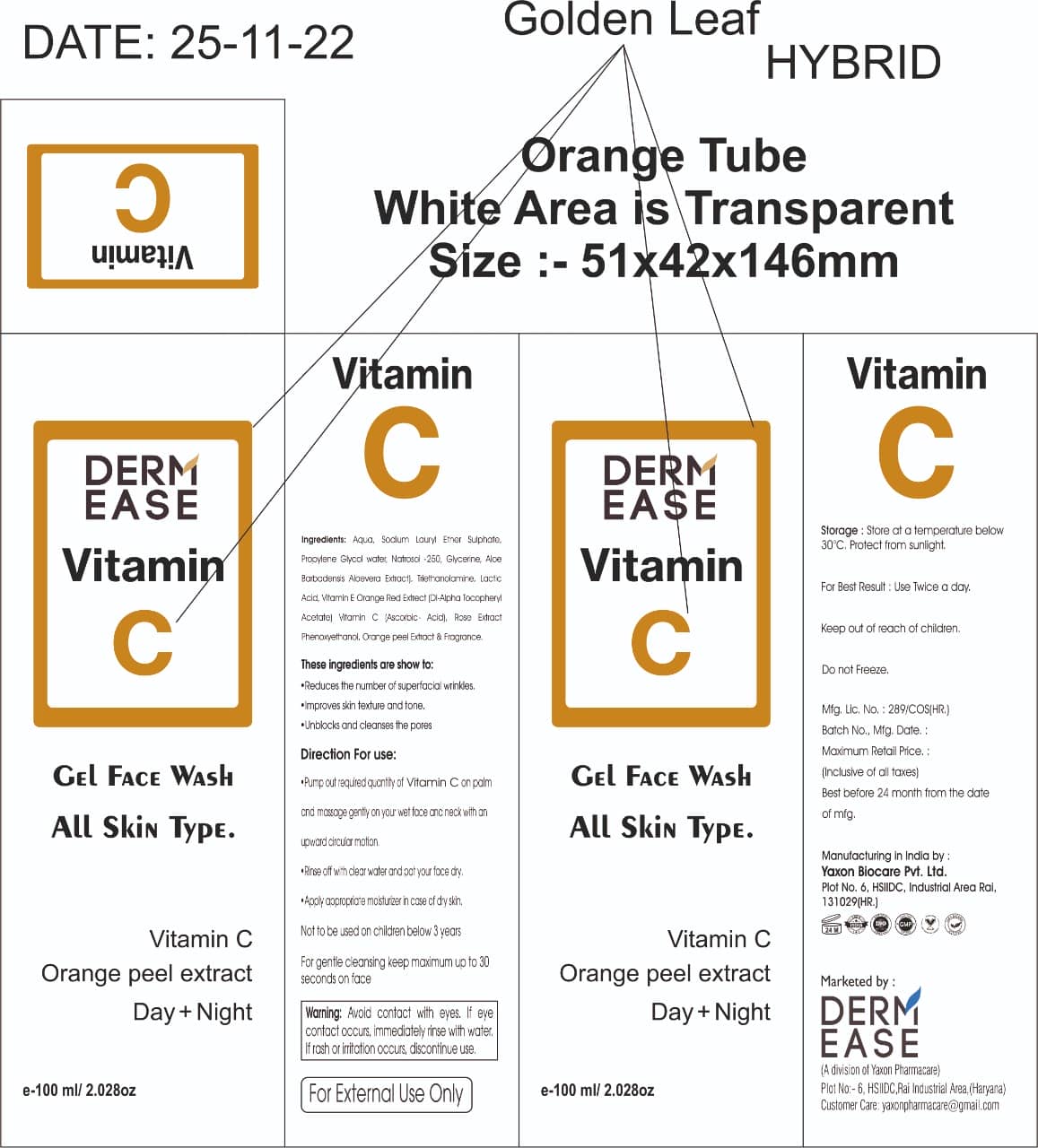 DERM EASE VITAMIN C GEL FACE WASH