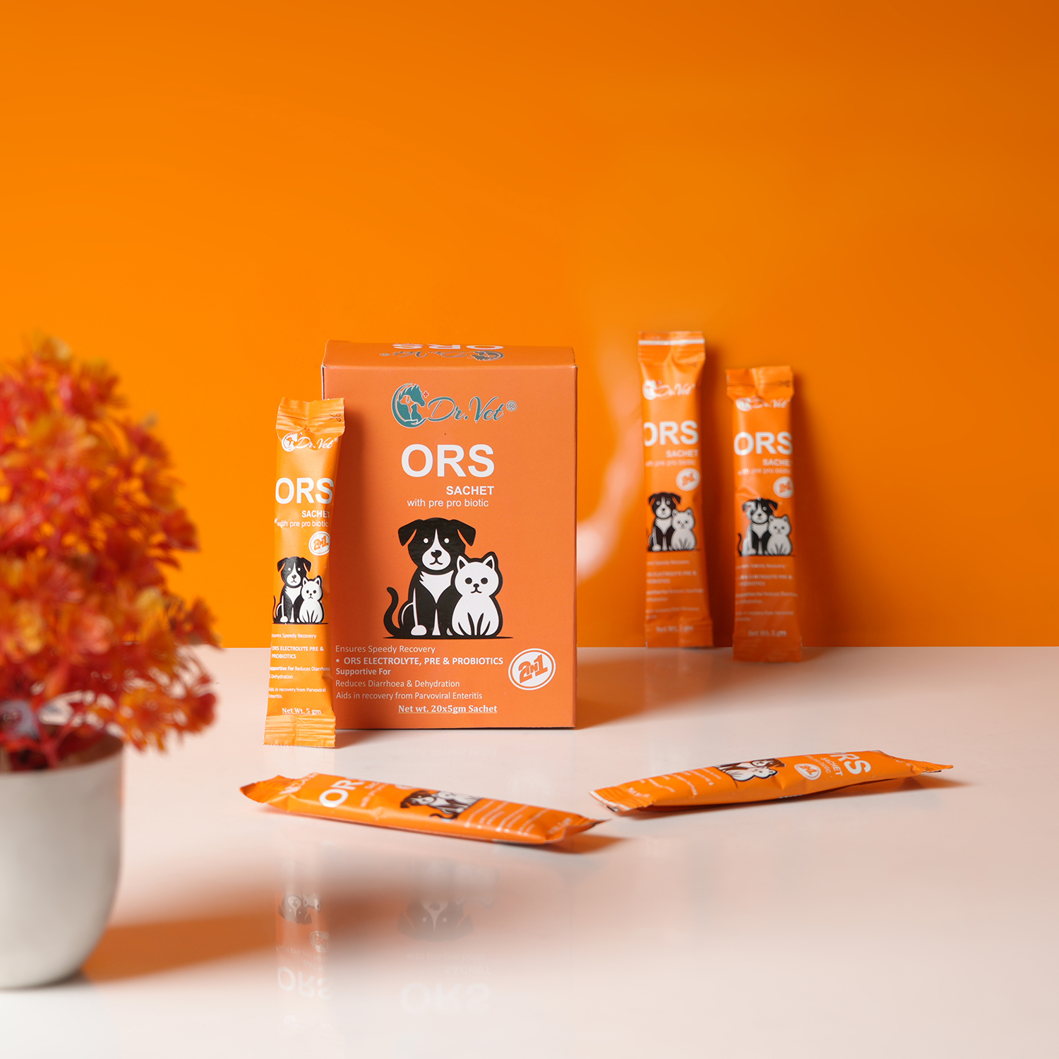 DR. VET ORS SACHET