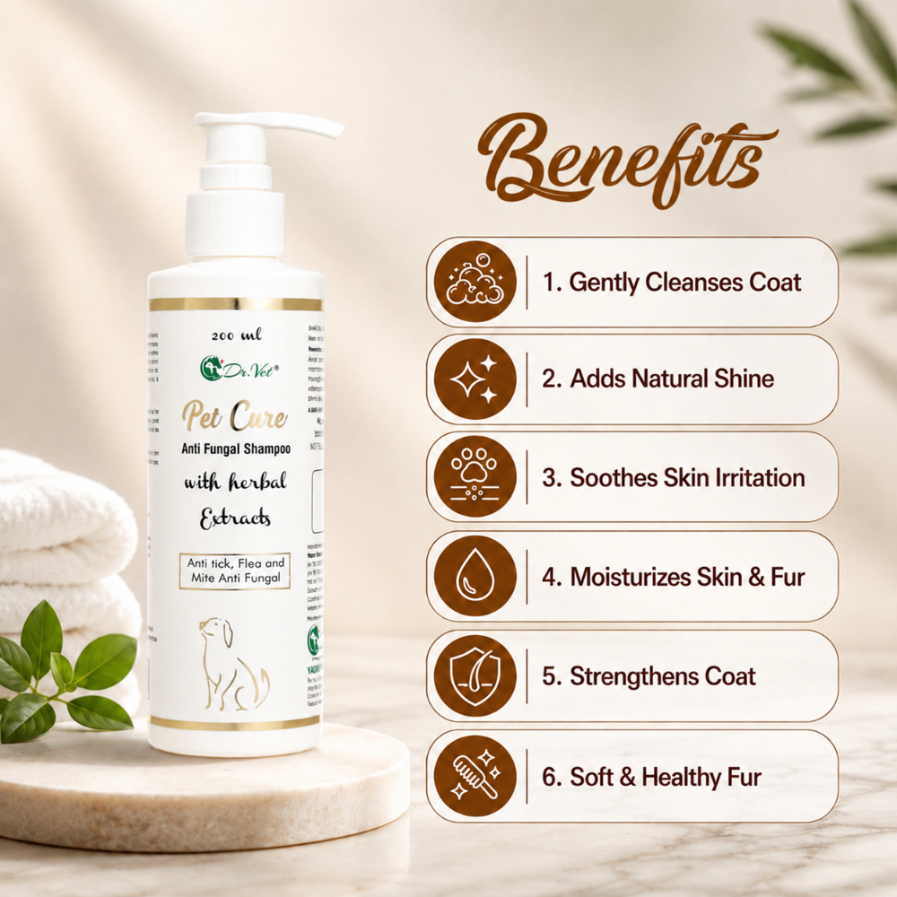 DR VET PET CURE ANTI FUNGAL SHAMPOO